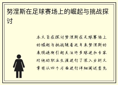 努涅斯在足球赛场上的崛起与挑战探讨