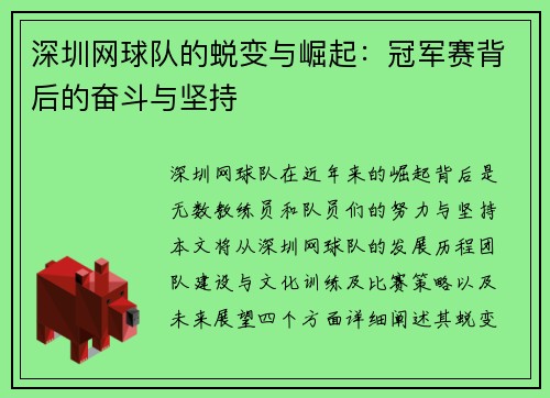 深圳网球队的蜕变与崛起：冠军赛背后的奋斗与坚持